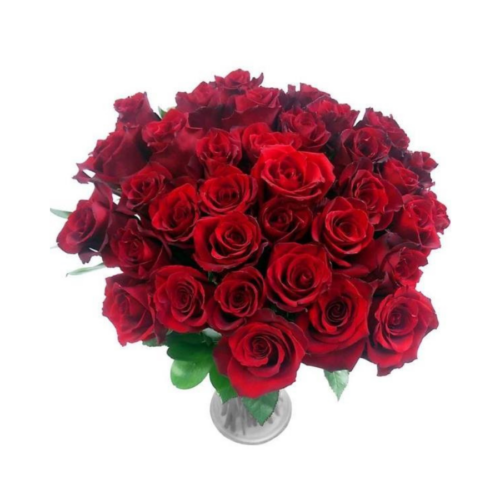 36 Red Roses