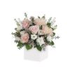Beauty Flowers