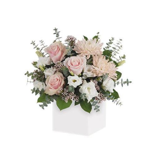 Beauty Flowers