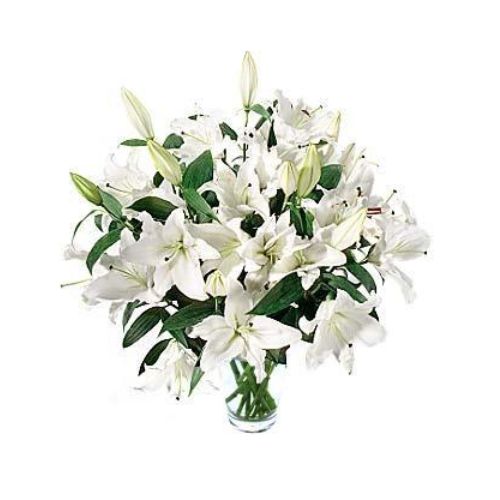 Casablanca Lilies