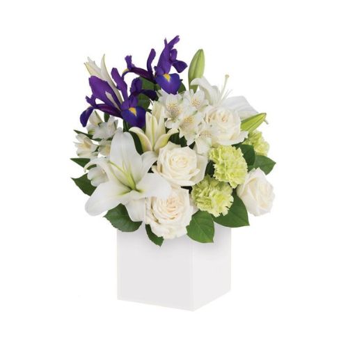 Comfort Flowers