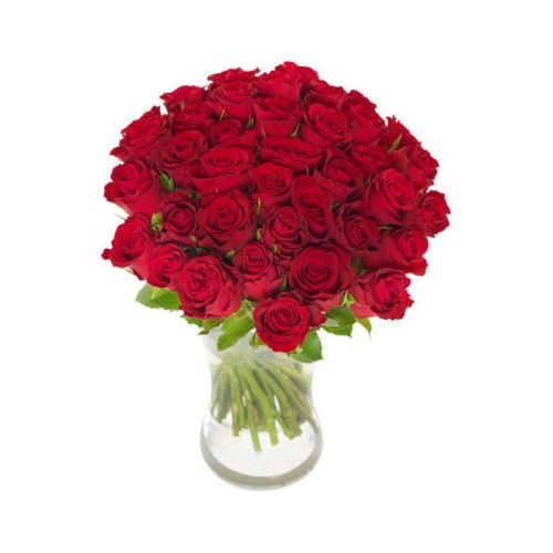 Forty Red Roses