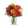 Gerbera Daisy Flowers