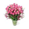 Pink Tulips