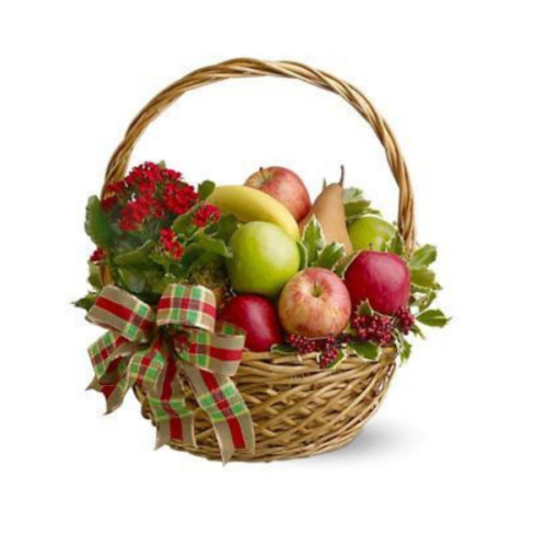 Plant Fruit Basket