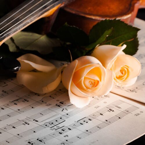 Classic Flowers