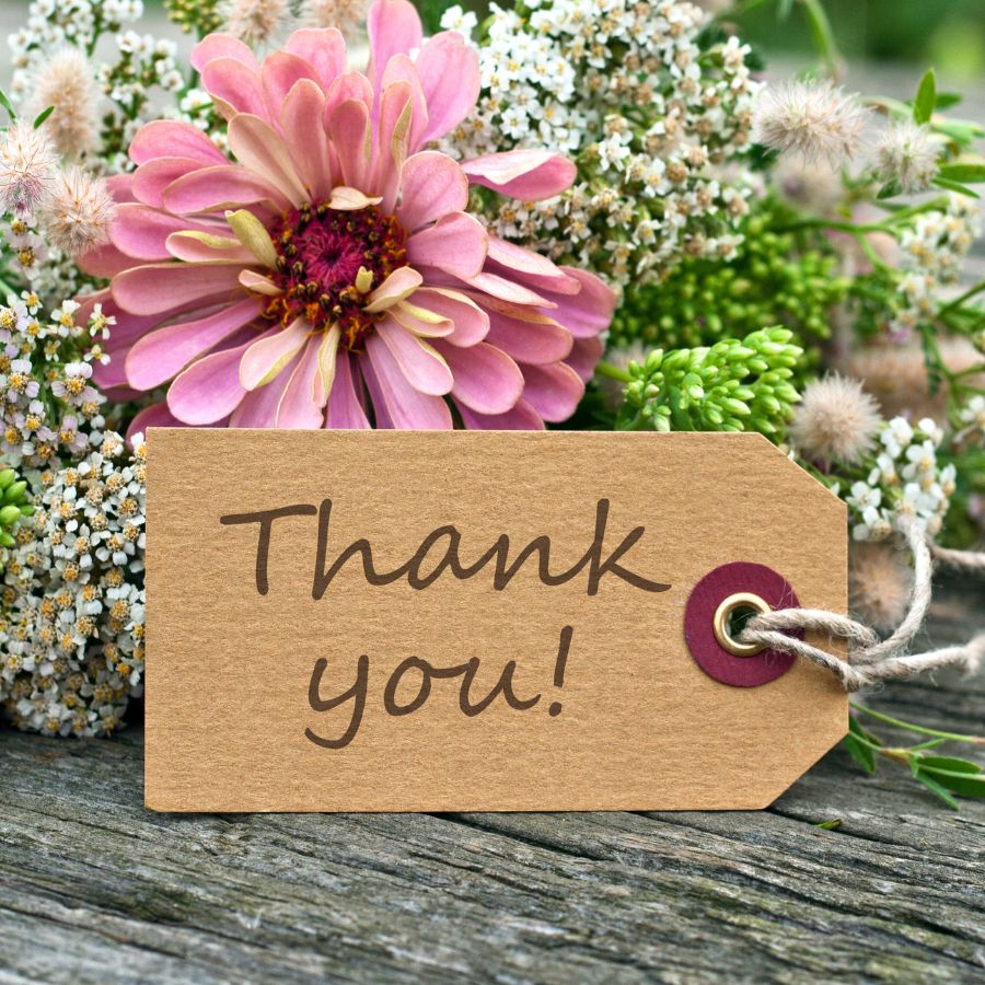 thank you flowers